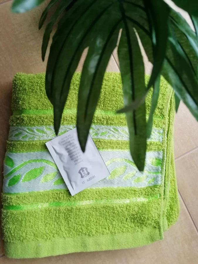 Olsinky Apartament Uście nad Łabą