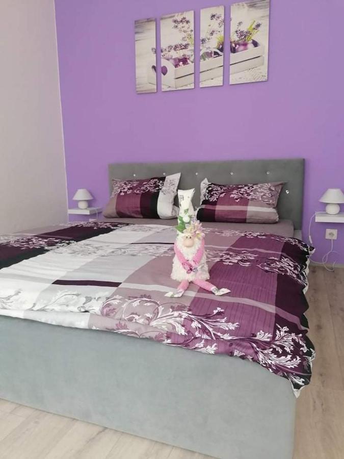 Olsinky Apartment