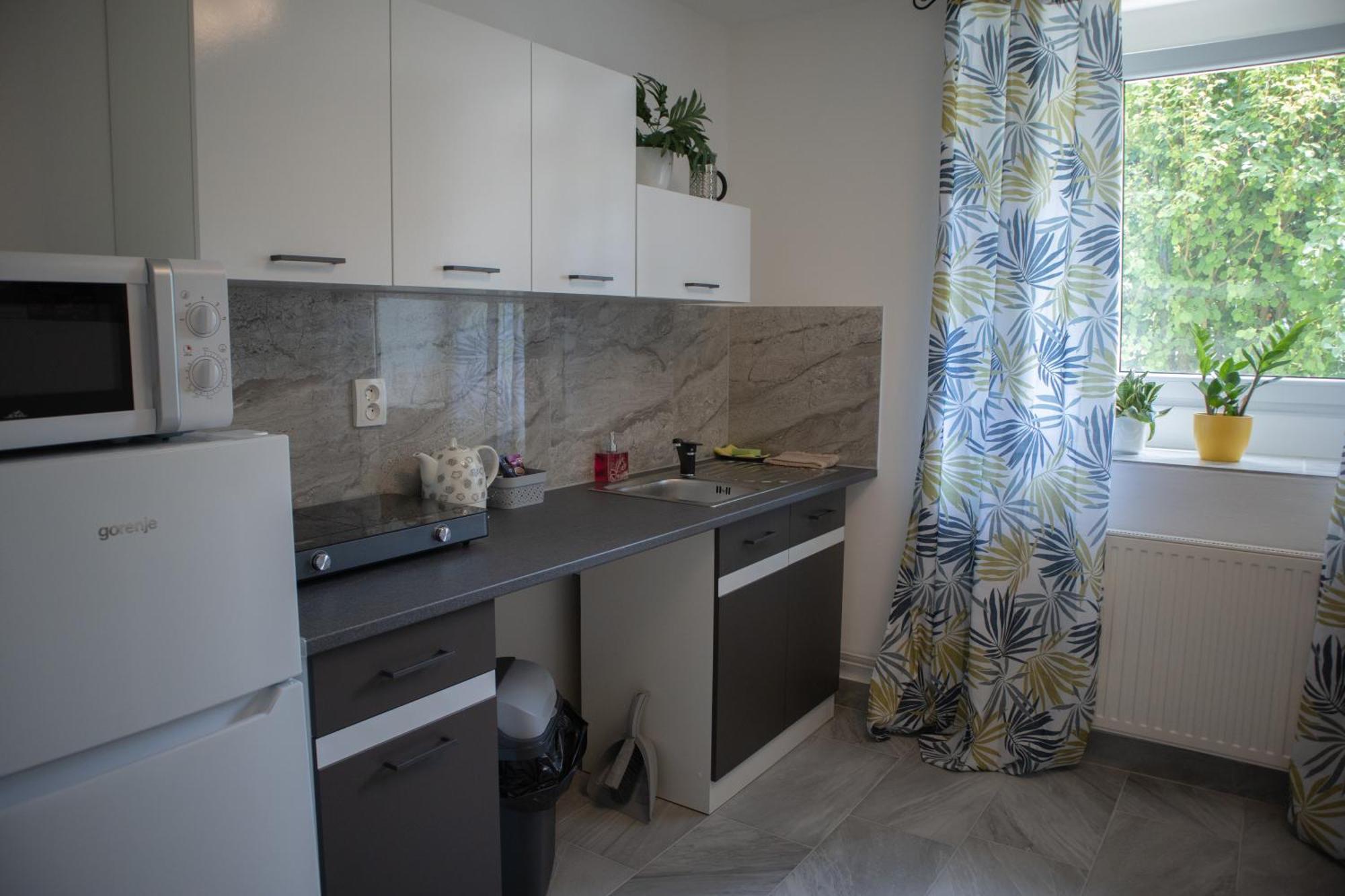 Olsinky Apartament Uście nad Łabą