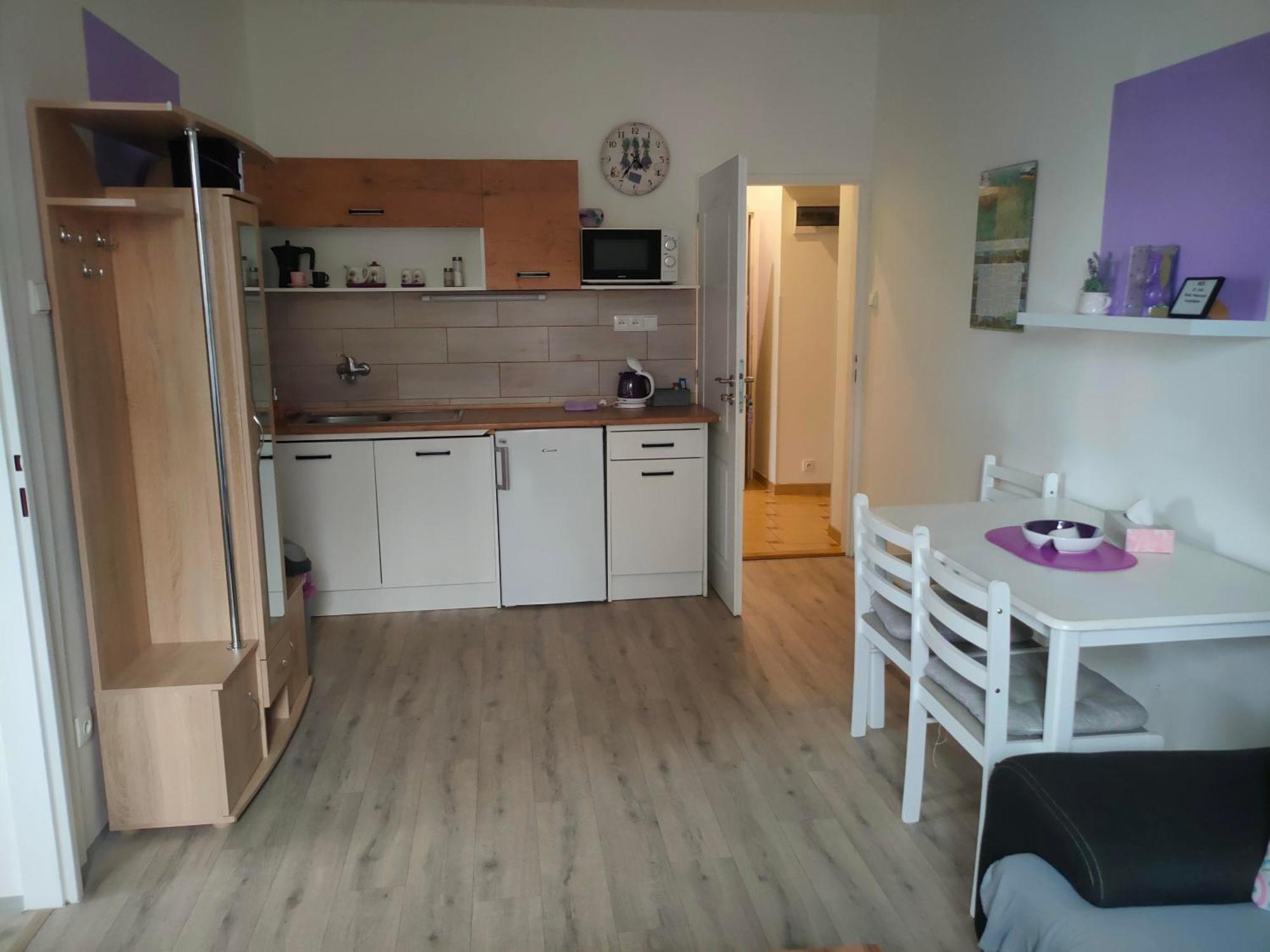 Apartment Olsinky Usti nad Labem