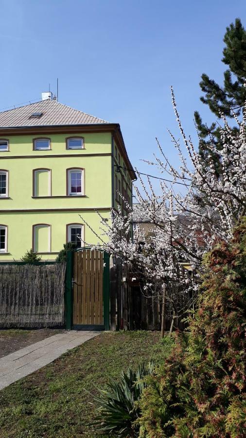 Apartment Olsinky *